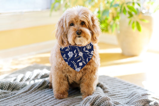 Bandana For Dogs & Cats | Blue Batik Print