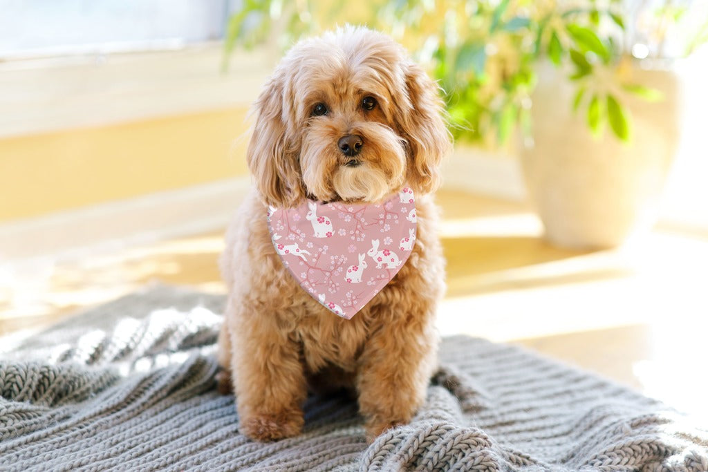 Bandana For Dogs & Cats | "Rabbit and Cherry Blossom" Print