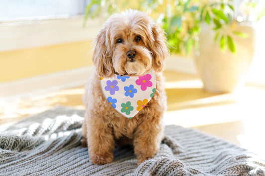 Bandana For Dogs & Cats | Multi Flowers Print