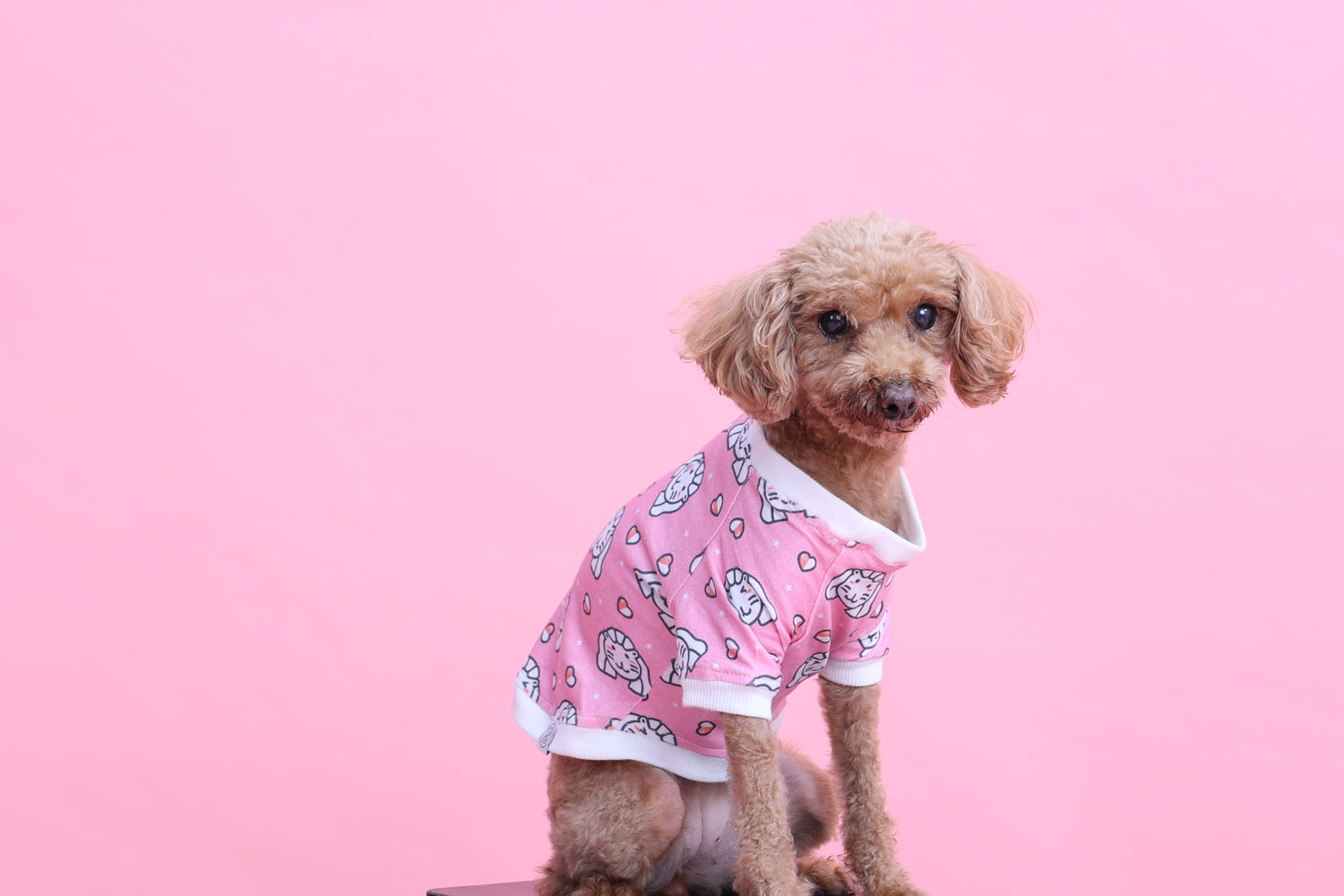 Pet Shirt for Dogs, Merlion Pet Tshirt, Stretchable Pet Shirt for Dogs